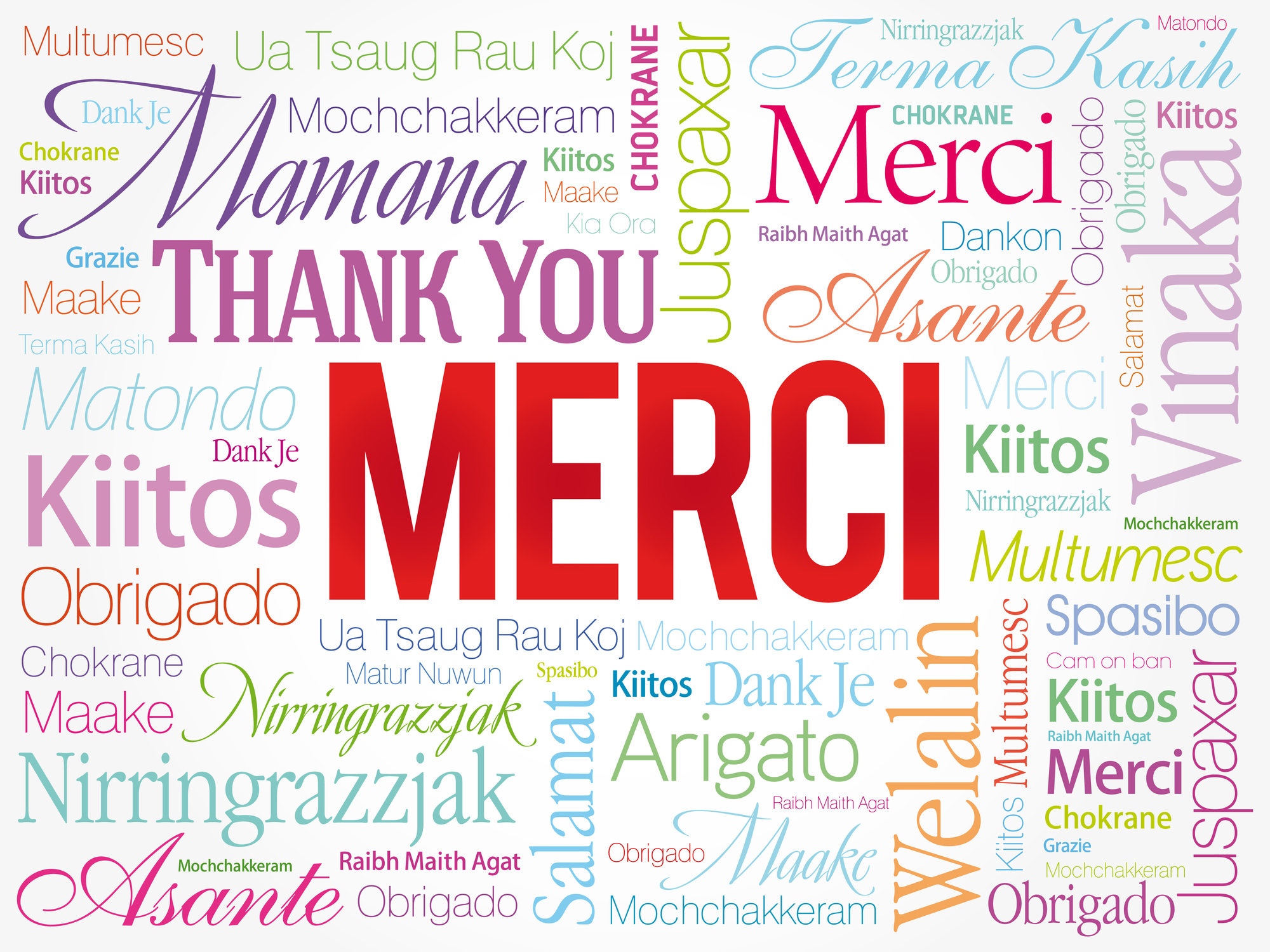 Thank You / Merci